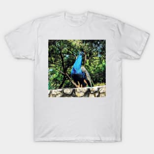 Majestic - Graphic 1 T-Shirt